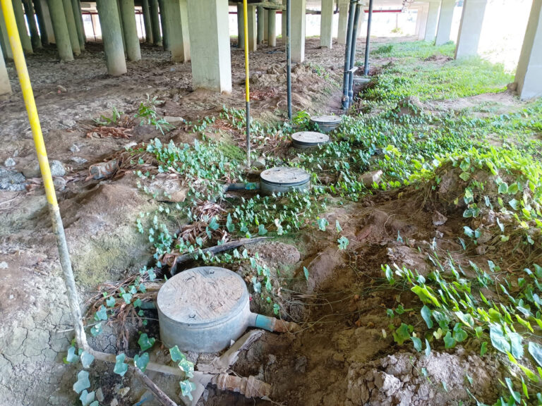 1_กายภาพ_8