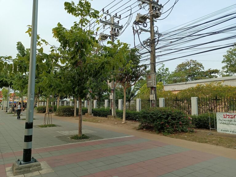 2_ชีวภาพ_3