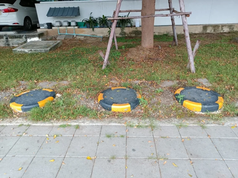 1_กายภาพ_1