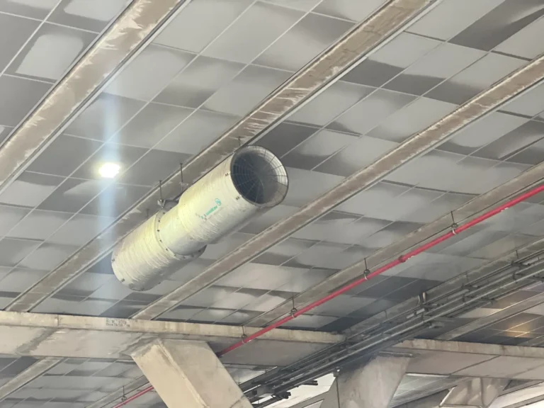 1_กายภาพ_1