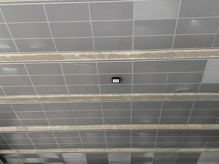 1_กายภาพ_2