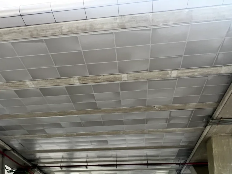 1_กายภาพ_7