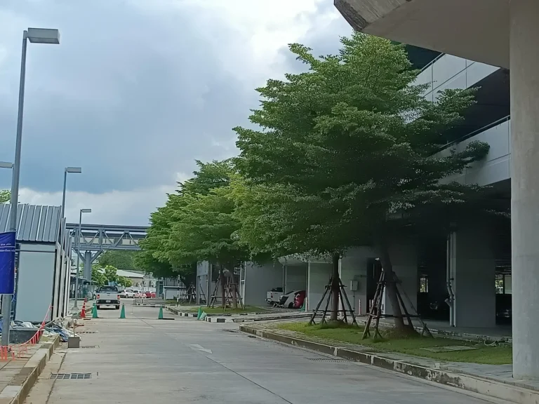 2_ชีวภาพ_2