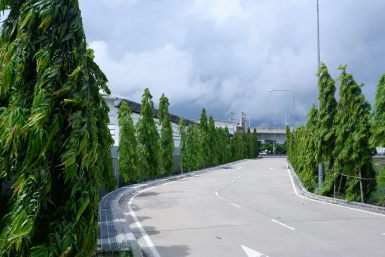 2_ชีวภาพ_4_