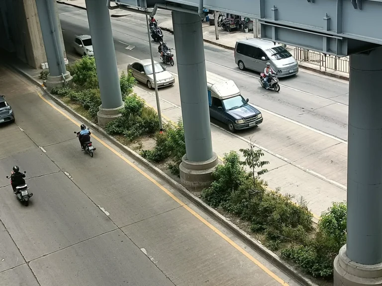 2_ชีวภาพ_1