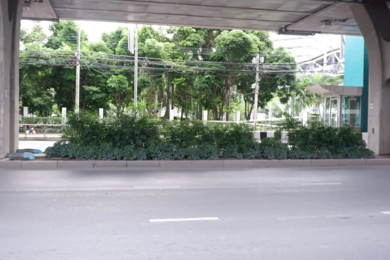 2_ชีวภาพ_3