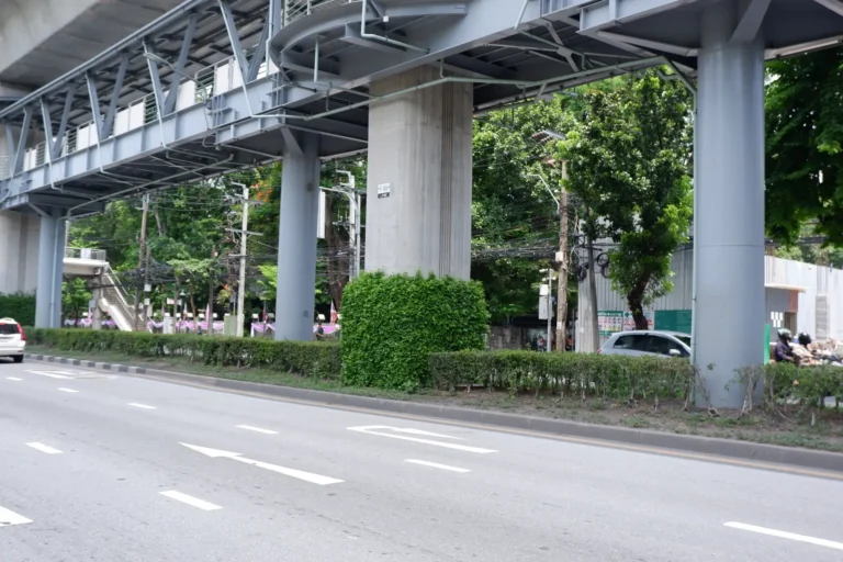 2_ชีวภาพ_3
