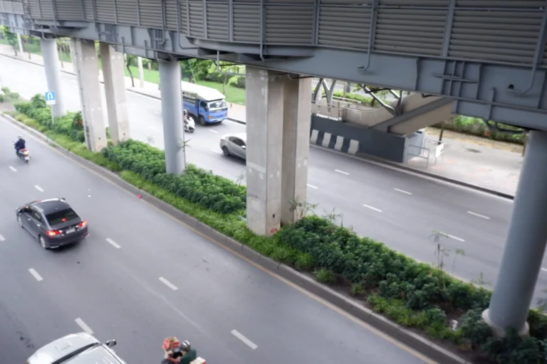 2_ชีวภาพ_4