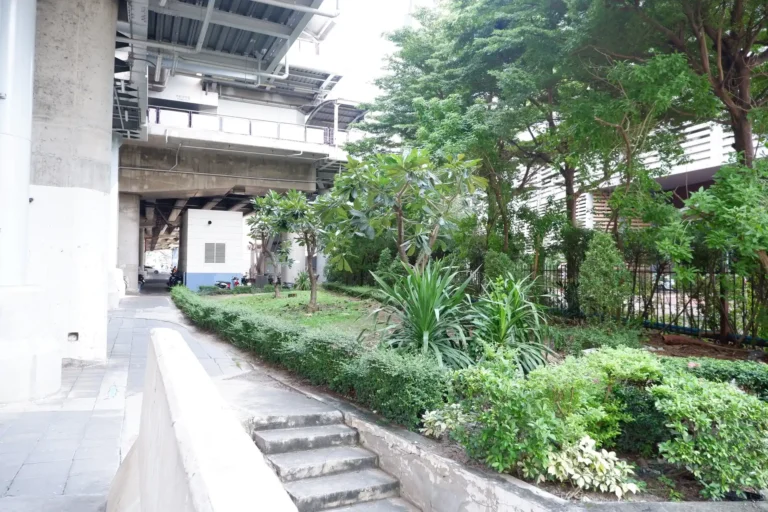 1 คุณค่าการใช้ประโยชน์_S10_1